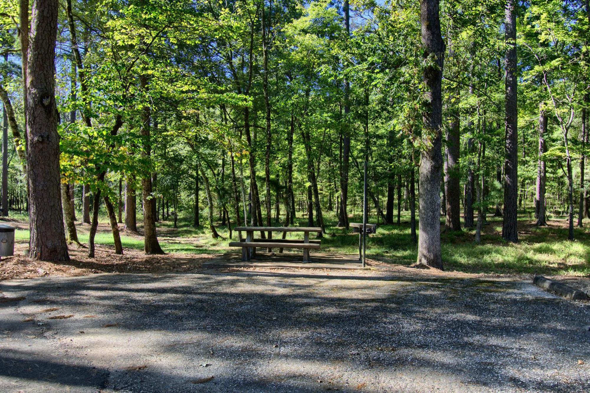 The Americana - Parker Creek Bend Cabins Murfreesboro Extérieur photo